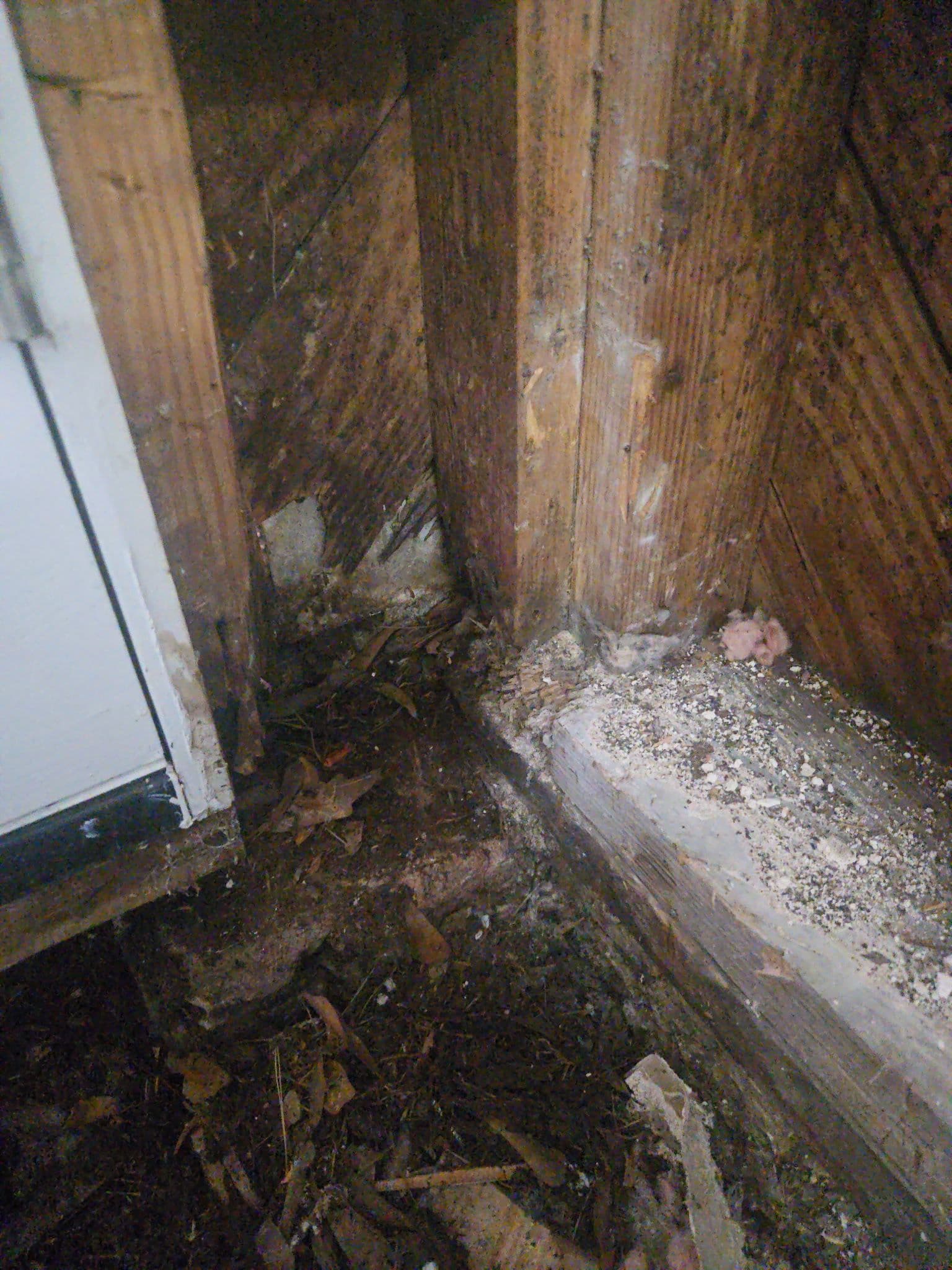 Gallery photos for From Rotted Subfloor to Solid Ground - Full Room Rebuild: Image #2