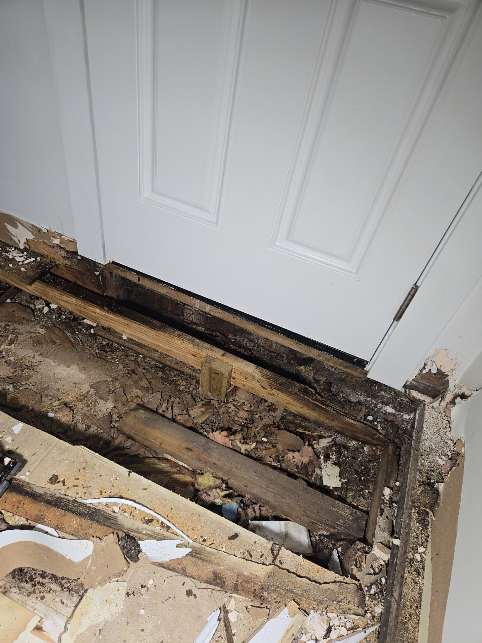 Gallery photos for From Rotted Subfloor to Solid Ground - Full Room Rebuild: Image #1